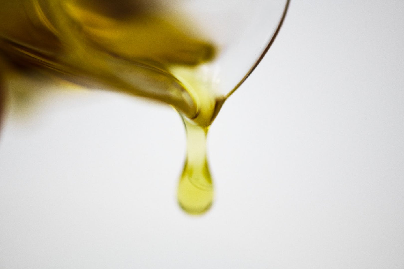 Polyphenols skincare benefits: from vine to healthy, protected skin