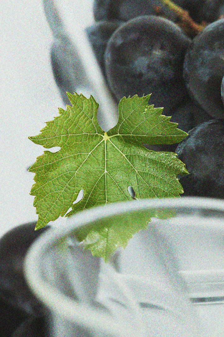 Beau Domaine by Brad Pitt & Famille Perrin